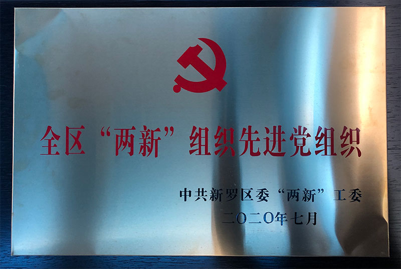 全區“兩新”組織先進黨組織.jpg